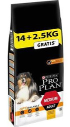 Purina Medium Tavuklu Orta Irk Yetişkin Kuru Köpek Maması 16.5 kg