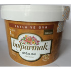 Balparmak Yayla ve Ova Organik Karakovan Orman Balı 4 kg