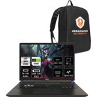 MSI Vector 17 HX A14VIG879XTRP306 Harici GeForce RTX 4090 Intel Core i9 14900HX 16 GB Ram 256 GB SSD 17 inç QHD FreeDos Oyuncu Laptop + PER4 Çanta