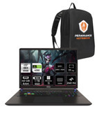 MSI Vector 17 HX A14VIG-879XTR Harici GeForce RTX 4090 Intel Core i9 14900HX 40 GB Ram 1 TB SSD 17 inç QHD Windows 11 Pro Oyuncu Laptop + PER4 Çanta