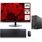 Lenovo Thinkcentre Neo 50S SFF SFFM11T00014TX46 Dahili Intel UHD Graphics Intel Core i5 12400 64 GB Ram 512 GB SSD Tower Windows 11 Pro 21.5 inç Monitörlü Masaüstü Bilgisayar + Zetta Flash Bellek