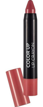 Flormar Color Up 4 Lovely Pink Parlak Krem Kalem Ruj