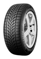 Dayton 205/55 R16 91H Dw510E Kış Lastiği 2024