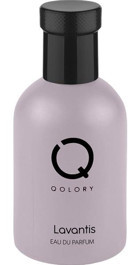 Qolory Lavantis EDP Odunsu-Oryantal Erkek Parfüm 100 ml