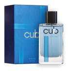 Curb Strong EDT Baharatlı-Odunsu Erkek Parfüm 100 ml