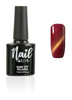 Nail Master Kedi Gözü M861 Bordo Hologram Kalıcı Simli Oje