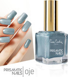 Pierre Cardin Prismatic Nails 113 Gri Işıltılı Simli Oje