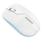 Everest SMW-973 Kablosuz Mavi Optik Mouse