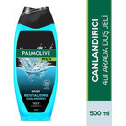 Palmolive 4ü1 Arada Men Sport Duş Jeli 500 ml