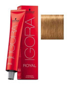 Schwarzkopf Igora Royal 8.55 Açık Kumral Yoğun Altın Krem Saç Boyası 60 ml