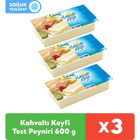 Pınar Tost Peyniri Kaşar İnek Peynir 3x600 gr