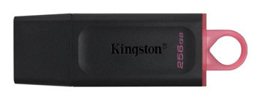 Kingston DataTraveler Exodia USB 3.2 Gen 1 Type A 256 GB Flash Bellek Pembe