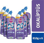 Ace Ultra Yoğun Okaliptus Banyo - Mutfak İçin Konsantre Jel Çamaşır Suyu 6x810 ml