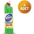 Domestos Dağ Esintisi Konsantre Jel Çamaşır Suyu 4x810 gr