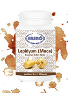 Ersağ Lepidyum (Maca) Lepidium Bitki Yetişkin Mineral 60 Adet