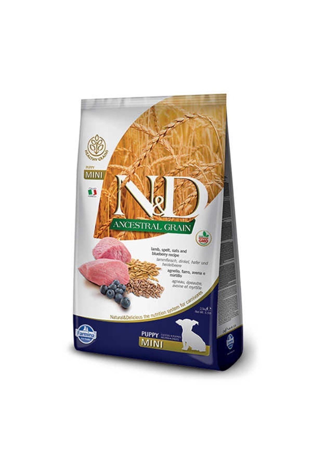 N&D Ancestral Grain Kuzu Etli Mini Irk Yavru Kuru Köpek Maması 2.5 kg