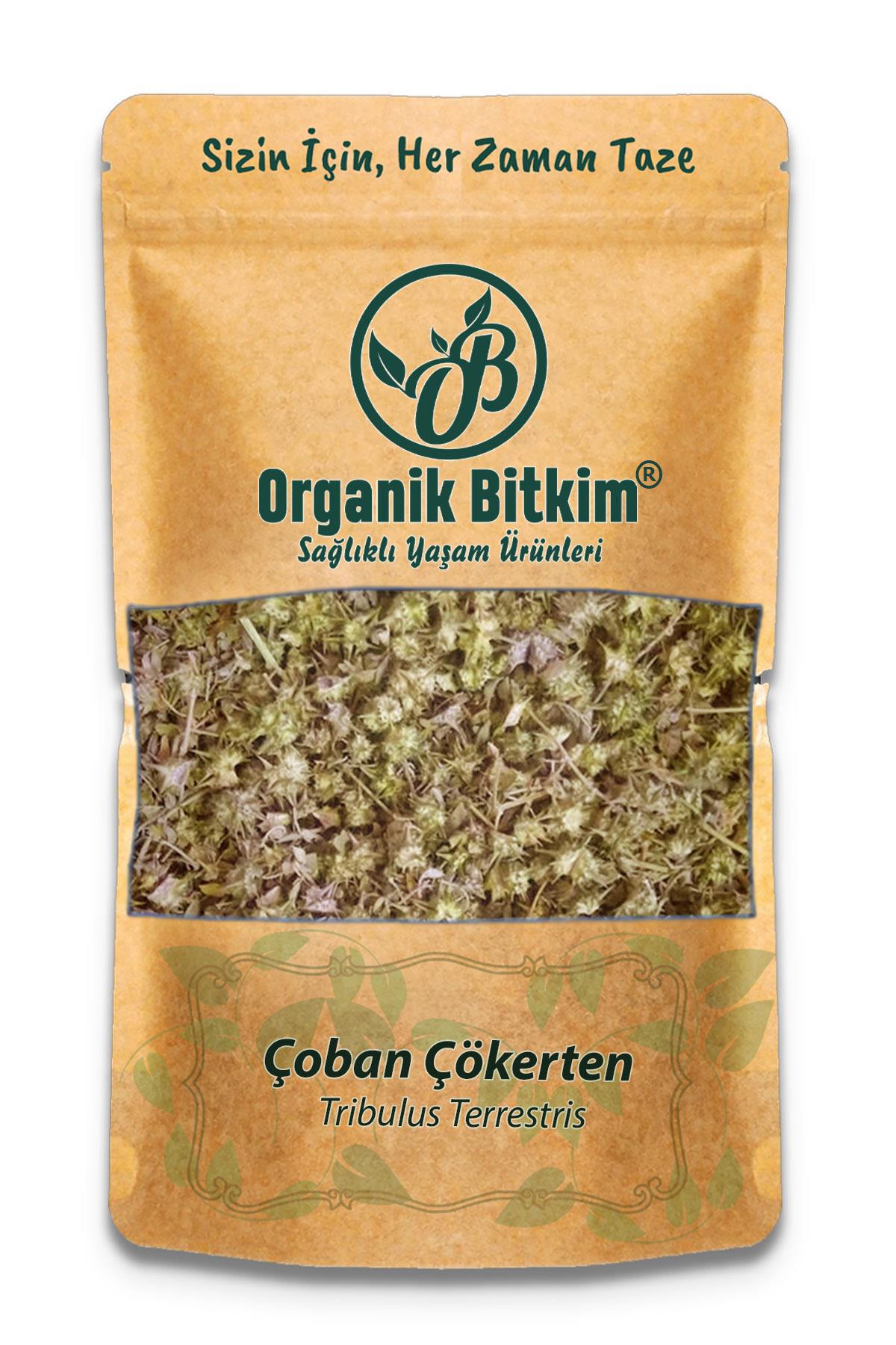 Organik Bitkim Glutensiz Çoban Çökerten Tane 250 gr