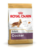 Royal Canin Cocker Spaniel Tavuklu Büyük Irk Yetişkin Kuru Köpek Maması 3 kg