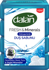 Dalan Fresh & Minerals Deniz Tuzu Sabun 600 gr