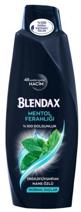 Blendax Mentollü Hacim Veren Tüm Saçlar İçin Naneli Erkek Şampuanı 550 ml