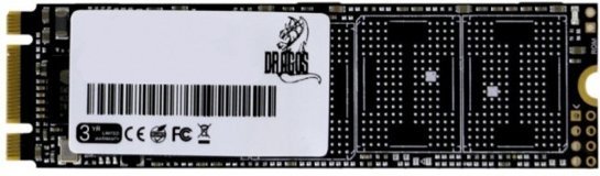 Dragos GyroDealer KTA480 M2SSD2280/256GB M2 256 GB m2 2280 SSD