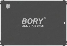 Bory01-C240 SATA 240 GB 2.5 inç SSD