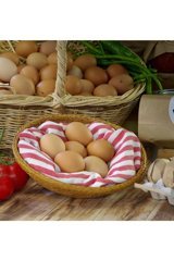 Hasanbey Çiftliği Organik Tavuk Yumurtası 15'li