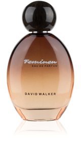 David Walker Feminen EDP Meyvelili Kadın Parfüm 100 ml