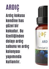 Lofty Ardıç Oda Kokusu 10 ml