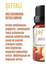 Lofty Şeftali Oda Kokusu 10 ml