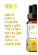 Lofty Nergis Oda Kokusu 10 ml