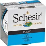 Schesir Tonno Ton Balığı Aromalı Jöleli Yetişkin Köpek Maması 150 gr Tekli