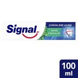 Signal Çürüklere Karşı Naneli Florürlü Diş Macunu 100 ml