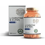 Anti B-6 (PS5) L-Karnitin 100 Kapsül