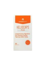 Heliocaps Löykotomos Eğreltisi Yeşil Çay Yetişkin Mineral 30 Adet