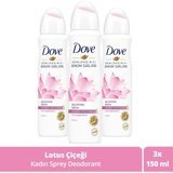 Dove Dogma Lotus Pudrasız Ter Önleyici Antiperspirant Sprey Kadın 3x150 ml