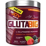 Bigjoy Sports Orman Meyveli Glutamin Aminoasit 420 gr Toz