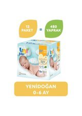 Uni Baby Yenidoğan 40 Yaprak 12'li Paket Islak Mendil
