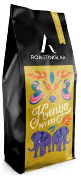 A Roasting Lab Kenya Nyeri Aeropress Filtre Arabica Çekirdek Filtre Kahve 250 gr