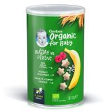 Gerber Tahıllı Organik Buğday Meyveli Pirinçli Bebek Atıştırmalığı 35 gr
