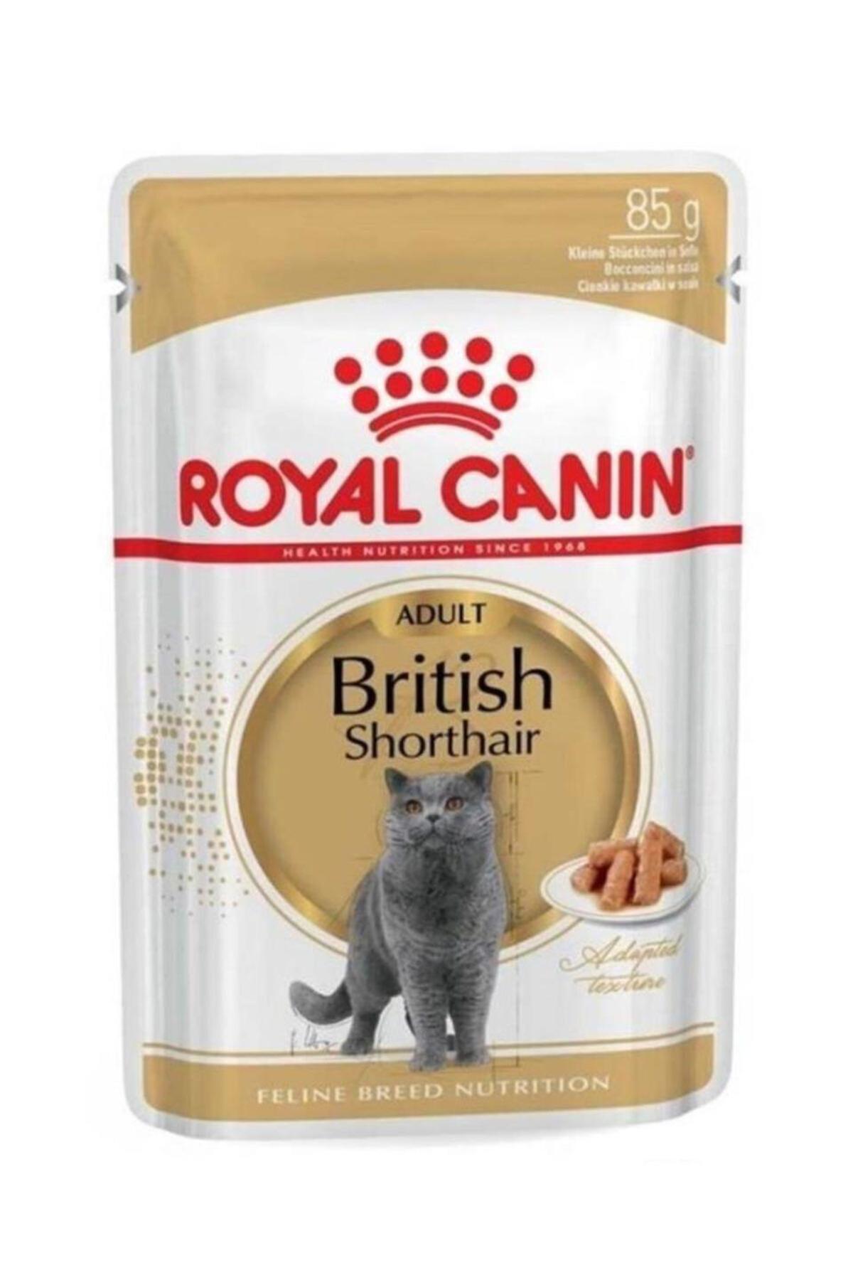 Royal Canin British Shorthair Kümes Hayvanlı Yaş Kedi Maması 12x85 gr