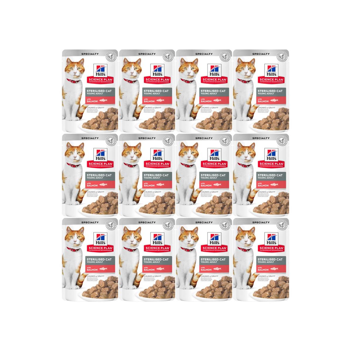 Hill's Chunks & Gravy Kısırlaştırılmış Balıklı Yaş Kedi Maması 12x85 gr
