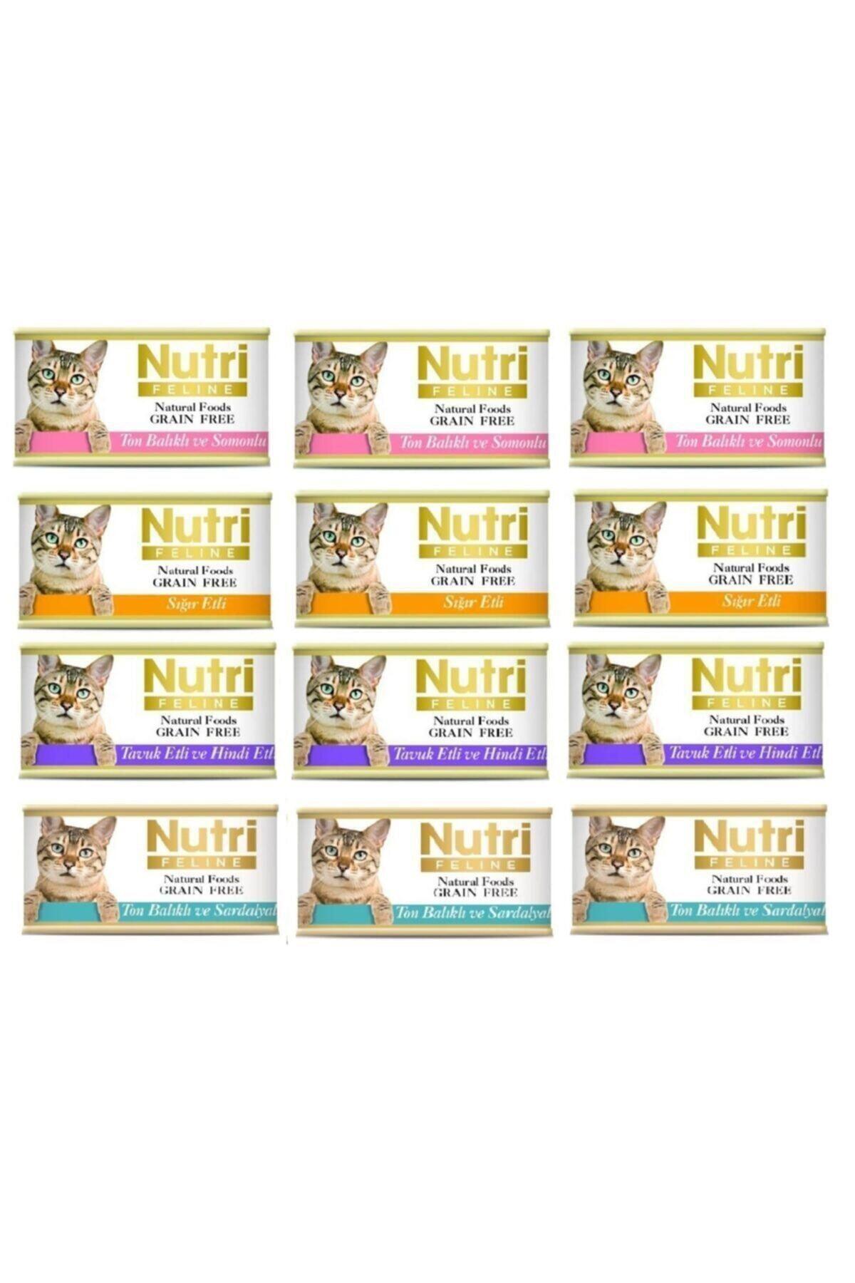 Nutri Feline Grain Free Karışık Yetişkin Yaş Kedi Maması 12x85 gr