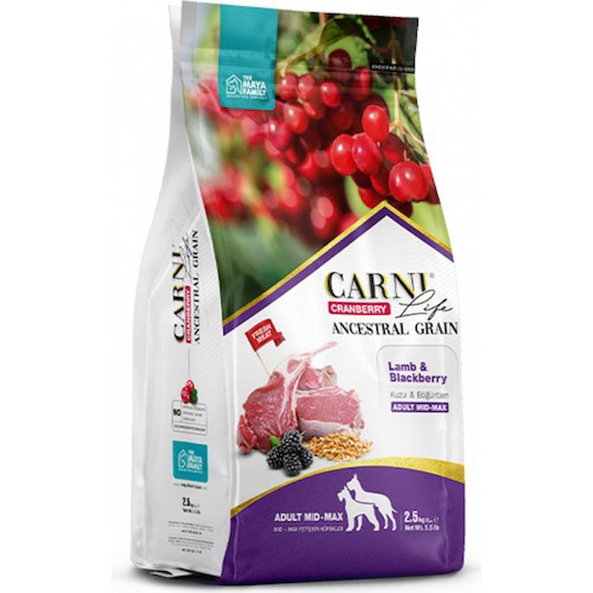 Carni Life Cranberry Böğürtlenli ve Kuzu Etli Büyük ve Orta Irk Yetişkin Kuru Köpek Maması 2.5 kg