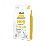 Brit Care Hair&Skin Somonlu Tüm Irklar Yetişkin Kuru Köpek Maması 2 kg