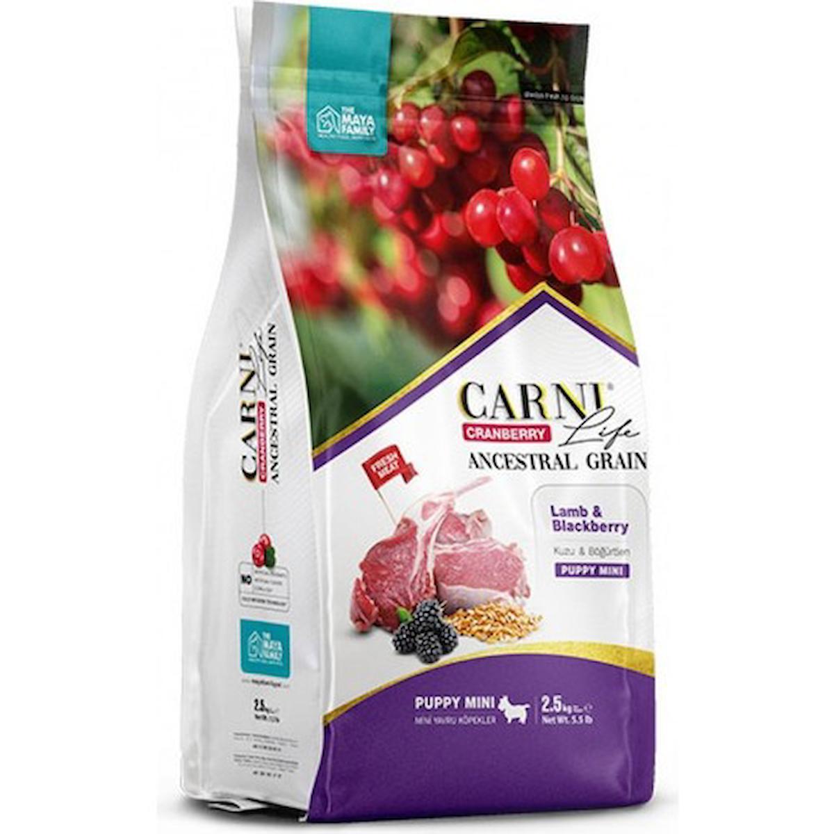 Carni Life Cranberry Böğürtlenli ve Kuzu Etli Mini Irk Yavru Kuru Köpek Maması 2.5 kg
