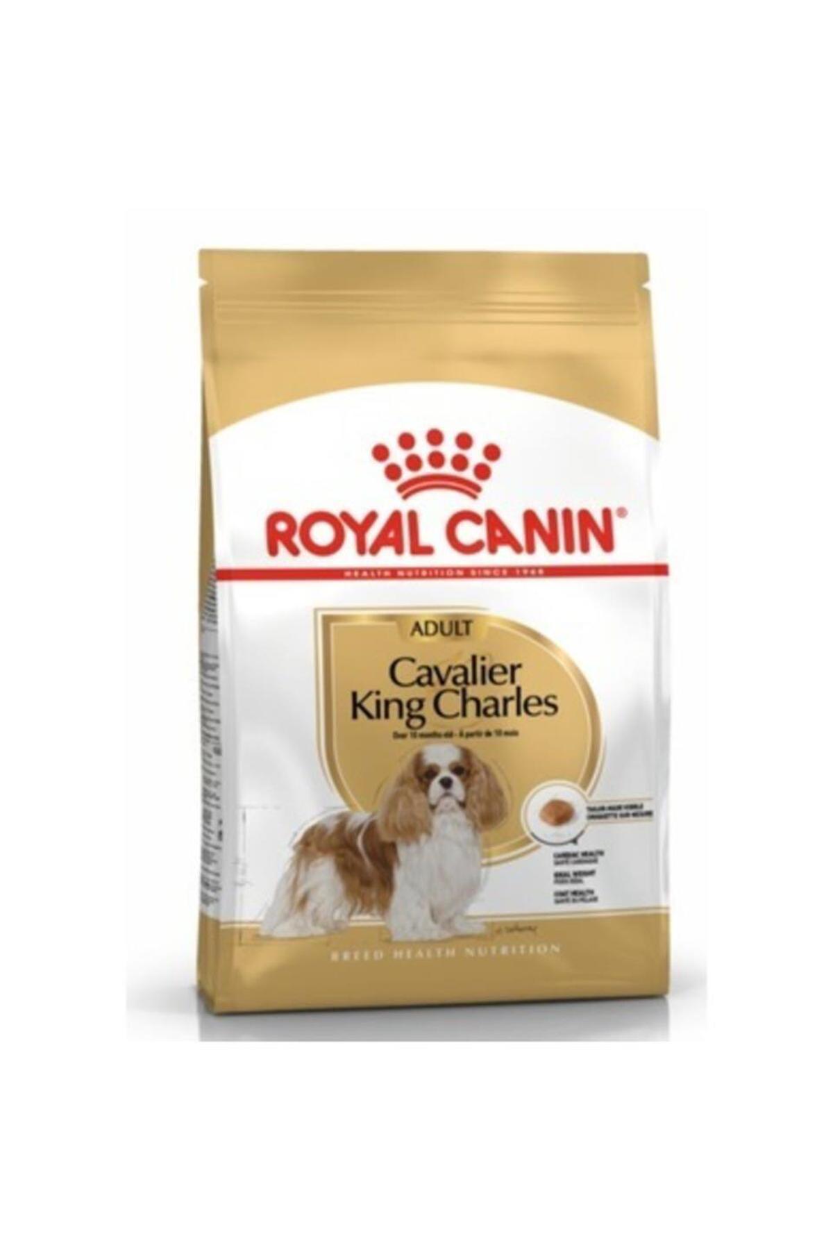 Royal Canin Breed Health Nutrition Cavalier King Charles Tüm Irklar Yetişkin Kuru Köpek Maması 1.5 kg