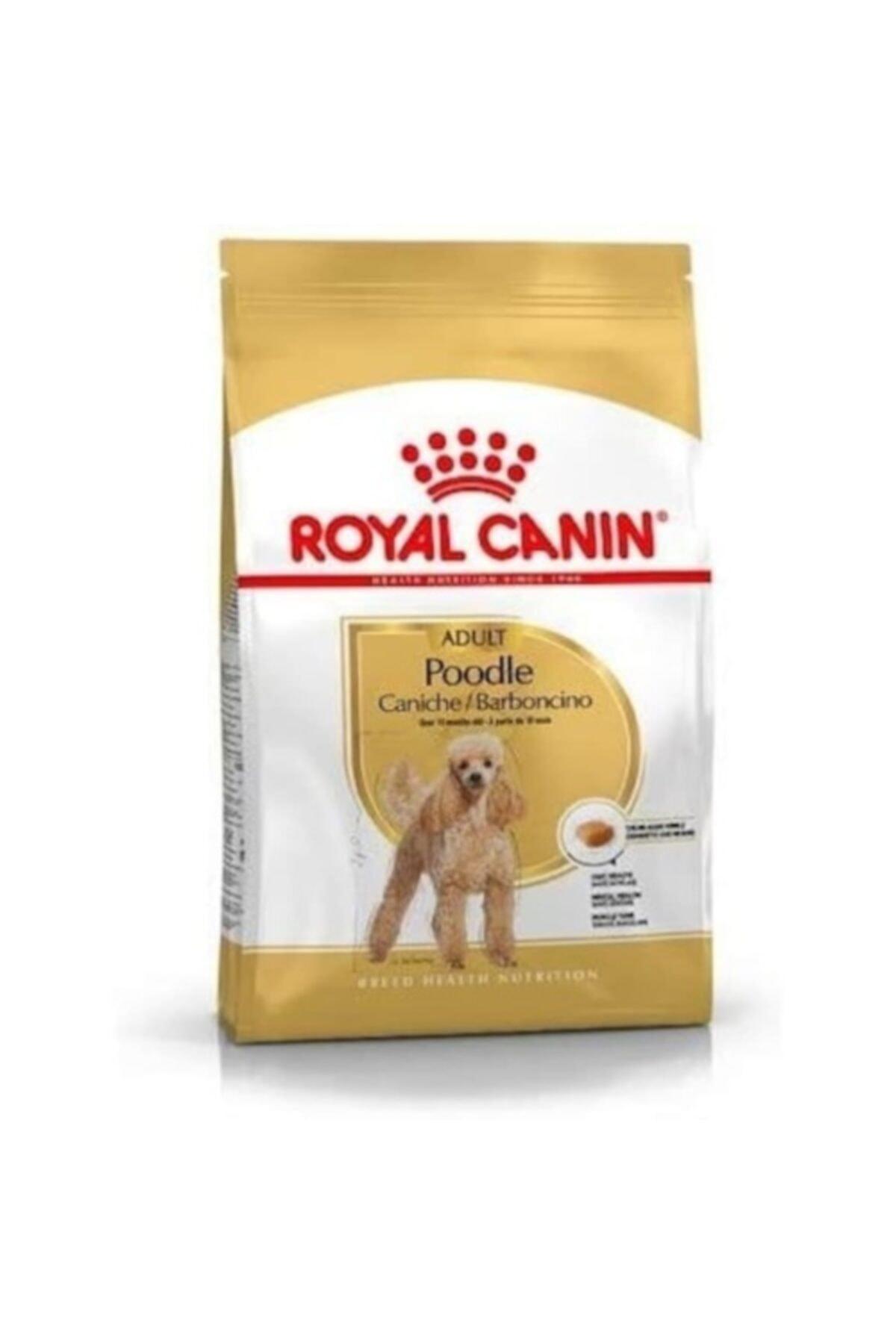 Royal Canin Breed Health Nutrition Poodle Küçük Irk Yetişkin Kuru Köpek Maması 3 kg