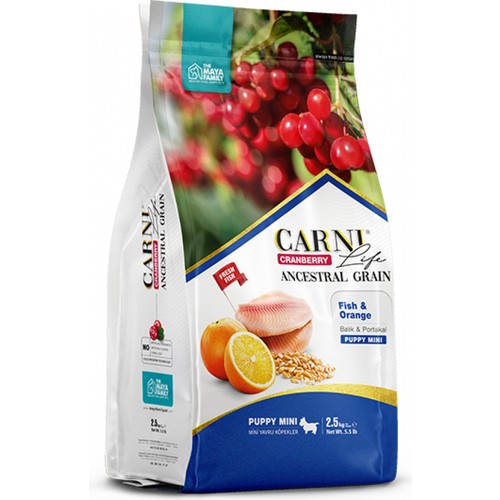 Carni Life Cranberry Balıklı ve Portakallı Mini Irk Yavru Kuru Köpek Maması 2.5 kg