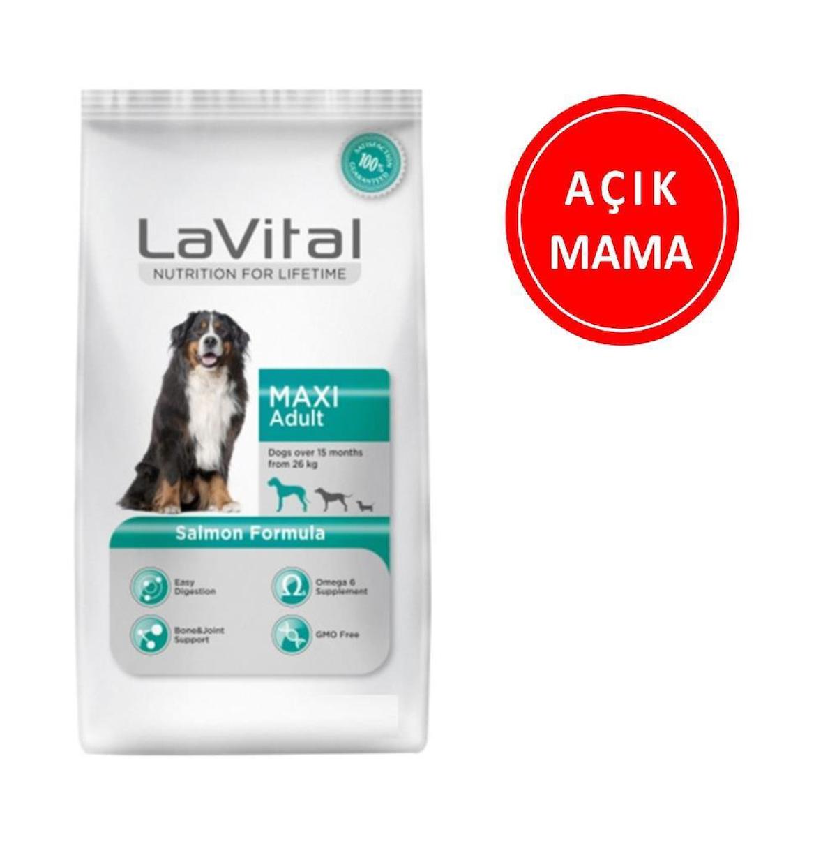 Lavital Maxi Somonlu Tüm Irklar Yetişkin Kuru Köpek Maması 1 kg